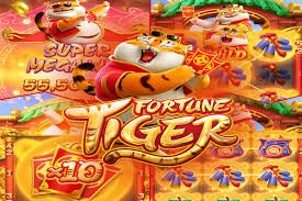 Lihat informasi daftar dan fitur bidangtogel